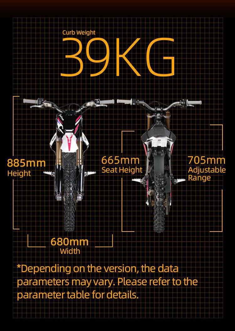 SURRON HYPER BEE 2026 MODEL 8Kw