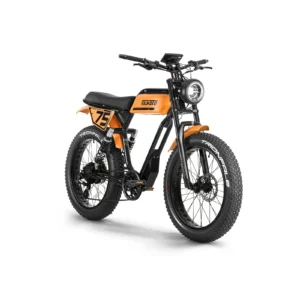 ITALMOTO TRIONFALE E BIKE